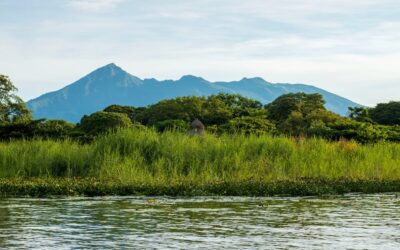 Mesoterapia en Granada: Innovación y Resultados en Medicina Estética